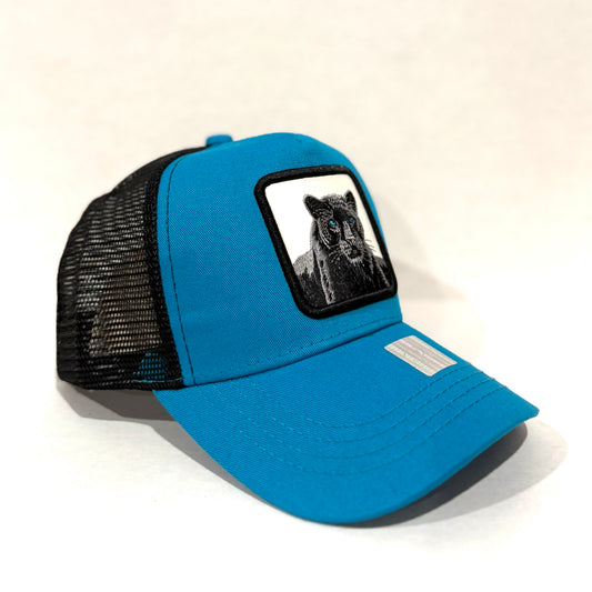 Play New York trucker cap Panther