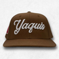 Yaquis de obregon
